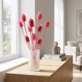 Wilde Karde Trockendeko Rosa Disteln 53cm 10 Köpfe | Floristik24.at