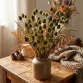 Erdbeerdistel Trockendeko Olivgrün Ø1–2cm L55cm 100g | Floristik24.at