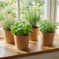 Pflanzgefäß aus Kraftpapier mit Kunststofffolie Ø15cm H13cm Natur 4 Stück | Floristik24.at