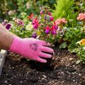 Kixx Gartenhandschuhe Nylon PU-Beschichtung Gr. 8 Rosa/Pink | Floristik24.at