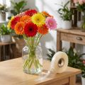 Transparenter Kunststoff-Schrumpfschlauch 17mm, 200m Rolle, für Gerbera | Floristik24.at
