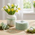 Filzschnur Dochtfaden 2mm Mintgrün 100m Schafwolle mit Jutekern | Floristik24.at