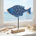 Maritimer Deko Fisch aus Mangoholz Blau 25cm × 24,5cm | Floristik24.at