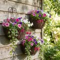 Hängekorb-Set aus Metall in Rostoptik, 3er-Set für Pflanzen, H30/33,5/40 cm, Innen- & Außendekoration | Floristik24.at
