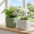Keramik-Übertopf-Set mit Netz-Relief 17x17x15cm in Weiß und Grün, 2 Stück | Floristik24.at