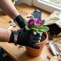 Arbeitshandschuhe aus Lycra und Ziegenleder Gr. 10 Schwarz-Hellgrau | Floristik24.at
