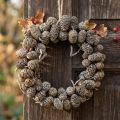 Erlenzapfenkranz zum Hängen Weiß Ø18cm aus Naturmaterial | Floristik24.at