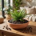 Dekosteine Naturstein 9-13mm Kaffeebraun 2kg | Floristik24.at