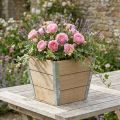 Blumenkasten Holz Beige Shabby Chic 19x19x15,5 cm | Floristik24.at