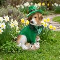 Beagle-Figur St. Patrick's Day mit Welpen, 24,5 cm, Polyresin, Grün | Floristik24.at