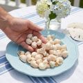 Natürliche Deko-Muscheln Umachi Weiß 2–3cm 500g | Floristik24.at