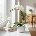 Künstliche Phalaenopsis Orchidee Creme im Keramiktopf 33 cm | Floristik24.at