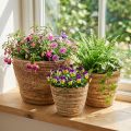 Pflanzkorb-Set aus Rattan, rund, Ø 26/22/16 cm, Natur-Braun, 3-teilig | Floristik24.at