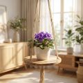 Pflanzenschaukel aus Holz mit Jutekordel, Makramee, Ø34cm, L84cm, natur | Floristik24.at