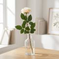 Seidenblume Rose Cremeweiß-Apricot, Kunstblume, 72 cm, Ø 12 cm | Floristik24.at