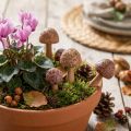 Blumenstecker Pilz Holz Ø2,5 cm Braun 8er Set für Herbstdeko | Floristik24.at