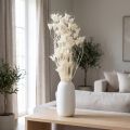 Trockenblumen Nigella Bund 70cm Weiß Dekoration | Floristik24.at
