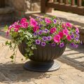 Blumenschale mit Fuß aus Kunststoff Anthrazit Ø 26–35 cm | Floristik24.at