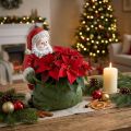 Weihnachtsmann Übertopf aus Polyresin 20×26 cm Rot-Grün | Floristik24.at