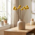 Craspedia Trockenblumen Gelb 70cm Deko 10 St | Floristik24.at