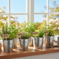 Eimer aus Zink Ø14cm H12cm Set mit 6 Stück glänzend | Floristik24.at
