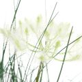 Floristik24 Binsen Gras Künstlich Blüte Kunstblumen im Topf 56cm