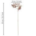Gartenstecker Metall Kräutergarten Rostoptik 14x17cm für Beete und Hochbeete, 4 Stück | Floristik24.at
