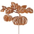 Floristik24 Gartenstecker Metall Kürbis Rostoptik 100cm