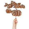 Gartenstecker Metall Kürbis Rostoptik 100cm | Floristik24.at