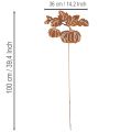 Gartenstecker Metall Kürbis Rostoptik 100cm | Floristik24.at