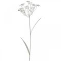 Floristik24 Gartenstecker-Blume, Gartendeko, Pflanzenstecker aus Metall Shabby Chic Weiß, Silbern L52cm Ø10cm 2St