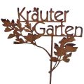 Floristik24 Gartenstecker Rost Kräuter Garten Beetstecker 14x17cm 4St