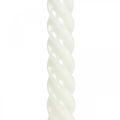 Floristik24 Gedrehte Kerzen Spiralkerzen Creme Ø2,2cm H30cm 2St