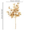 Künstliche Eukalyptuszweige Gold 24 cm, Set mit 6 Deko-Zweigen | Floristik24.at