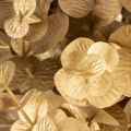 Künstliche Eukalyptuszweige Gold 24 cm, Set mit 6 Deko-Zweigen | Floristik24.at