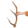 Deko-Geweih aus Polyresin braun 50cm rustikal für Innen | Floristik24.at