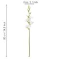 Künstliche Gladiole aus Textil und Kunststoff Weiß 88cm für Innenbereich | Floristik24.at