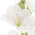 Künstliche Gladiole aus Textil und Kunststoff Weiß 88cm für Innenbereich | Floristik24.at