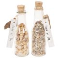 Floristik24 Glasflaschen-Set mit Muschelfüllung und Anhänger, 17 cm, 2 Stück