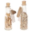 Glasflaschen-Set mit Muschelfüllung und Anhänger, 17 cm, 2 Stück | Floristik24.at