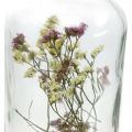 Floristik24 Glas mit Kerzenständer, Glasdeko mit Trockenblumen H16cm Ø8,5cm