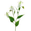 Floristik24 Gloriosa Weiß künstlich 84cm 3St