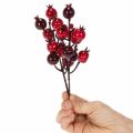 ProductNameKünstliche Granatapfelzweige 19 cm, rot, 4 Stück für Vase und Gestecke/ProductName
ProductDescription<h2>Künstliche Granatapfelzweige für Vase und Dekoration zu Hause</h2>
<p>Dieses Set enthält vier künstliche Granatapfelzweige mit verzweigten  | Floristik24.at