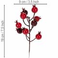 ProductNameKünstliche Granatapfelzweige 19 cm, rot, 4 Stück für Vase und Gestecke/ProductName
ProductDescription<h2>Künstliche Granatapfelzweige für Vase und Dekoration zu Hause</h2>
<p>Dieses Set enthält vier künstliche Granatapfelzweige mit verzweigten  | Floristik24.at