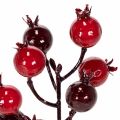 ProductNameKünstliche Granatapfelzweige 19 cm, rot, 4 Stück für Vase und Gestecke/ProductName
ProductDescription<h2>Künstliche Granatapfelzweige für Vase und Dekoration zu Hause</h2>
<p>Dieses Set enthält vier künstliche Granatapfelzweige mit verzweigten  | Floristik24.at