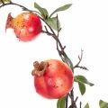 ProductNameKünstlicher Granatapfelzweig, 68 cm, rote Früchte für die Tischdekoration/ProductName
ProductDescription<h2>Künstlicher Granatapfelzweig für die Tischdekoration</h2>
<p>Der künstliche Granatapfelzweig ist eine dekorative Nachbildung mit roten G | Floristik24.at