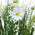 Floristik24 Deko Gras mit Cosmea-Blüten in Schale H45cm