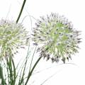 Floristik24 Gras mit Blüten im Topf künstlich Lila 70cm