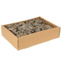 Dekomoos Graumoos 500 g für Bastelarbeiten und Dekorationen | Floristik24.at