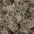 Dekomoos Graumoos 500 g für Bastelarbeiten und Dekorationen | Floristik24.at